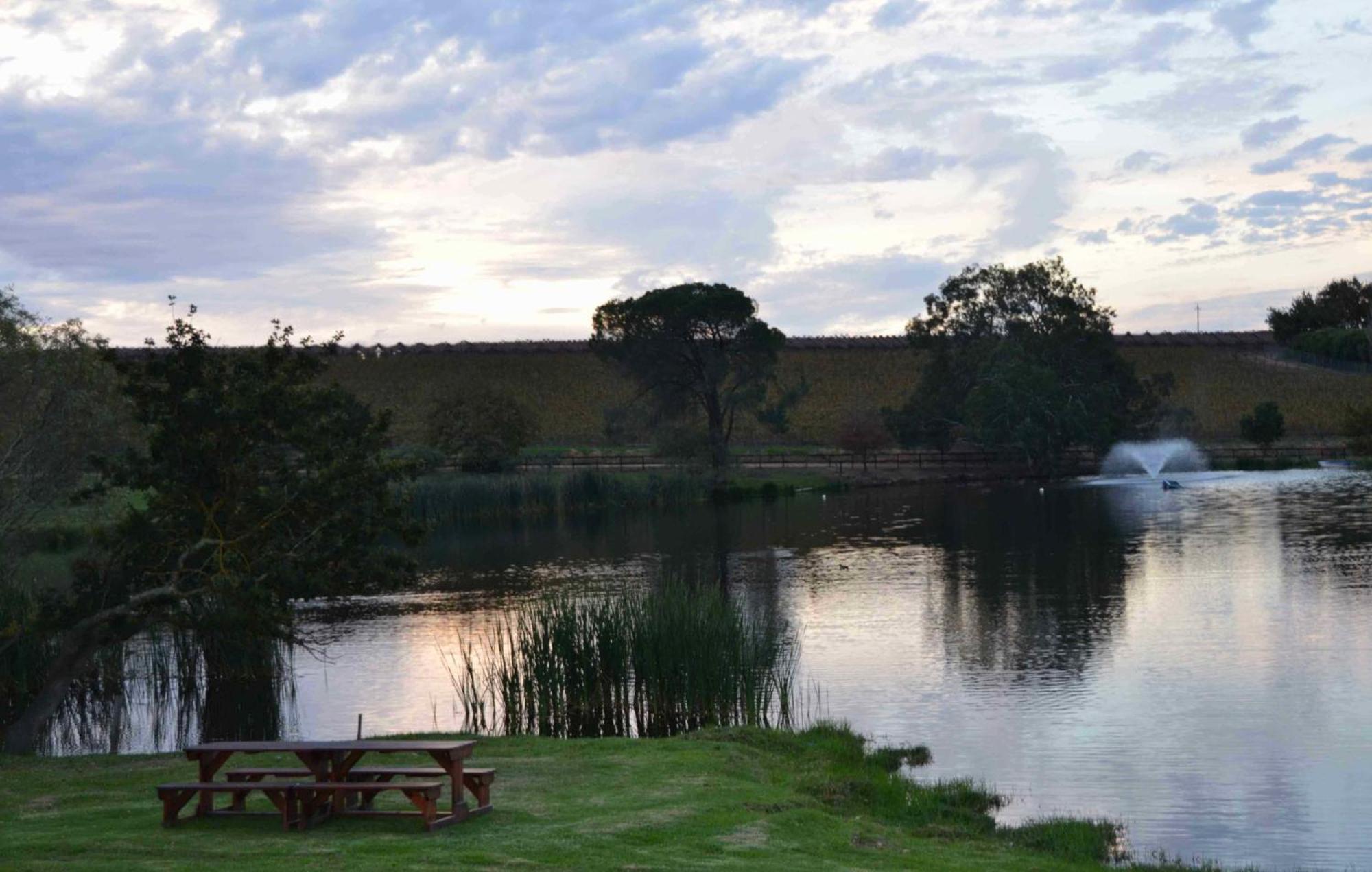 Under Oaks Guesthouse Paarl Rum bild