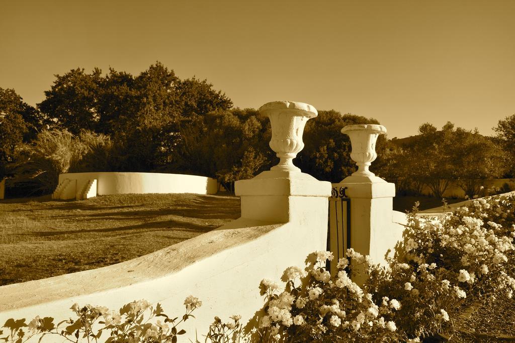 Under Oaks Guesthouse Paarl Exteriör bild
