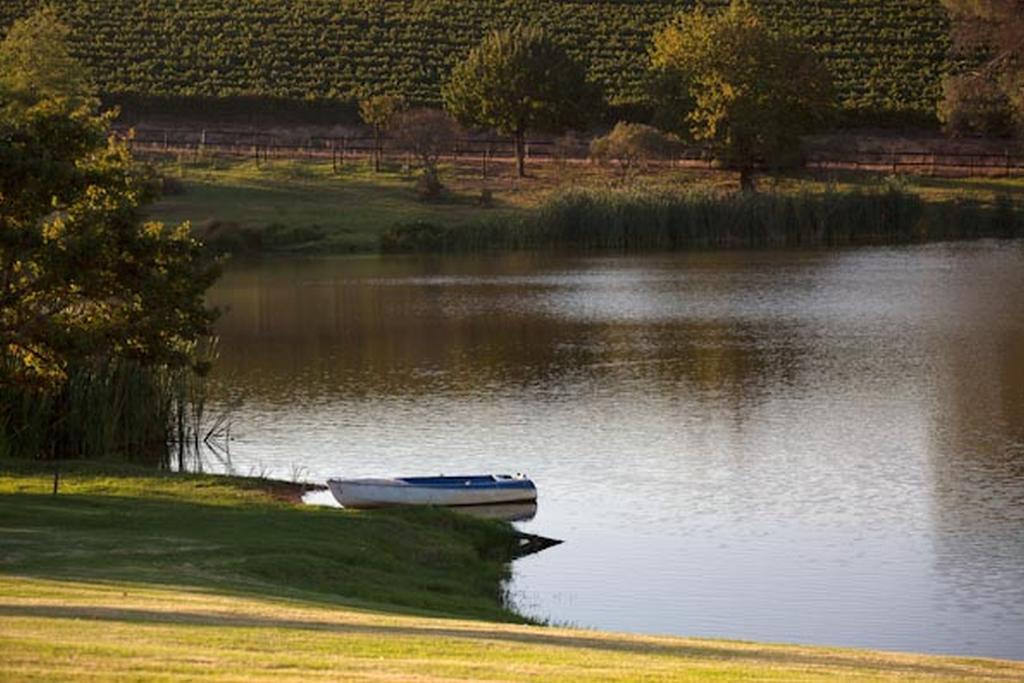 Under Oaks Guesthouse Paarl Rum bild